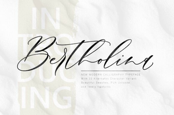 Bertholina Typeface for Modern Campaign Design