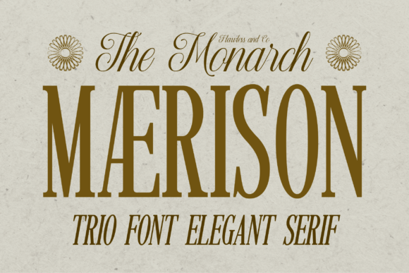 Maerison Typeface for Elegant Web Design