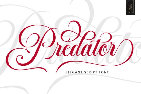 Predator: A Modern Script Typeface for Editorial Design