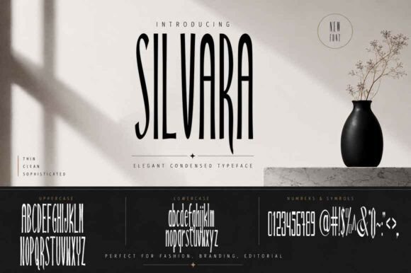 Silvara Font Review for Modern Branding