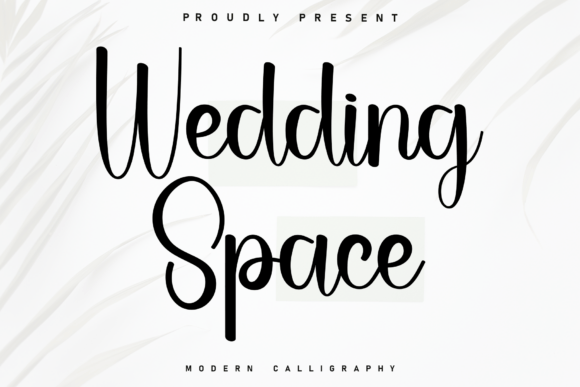 Wedding Space Typeface Review for Designers