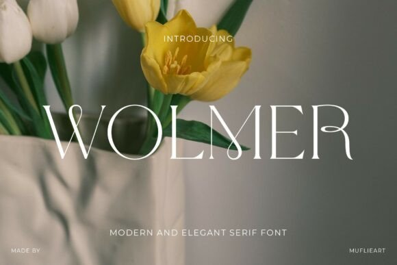 Wolmer: A Modern Serif Font for Elegant Campaigns